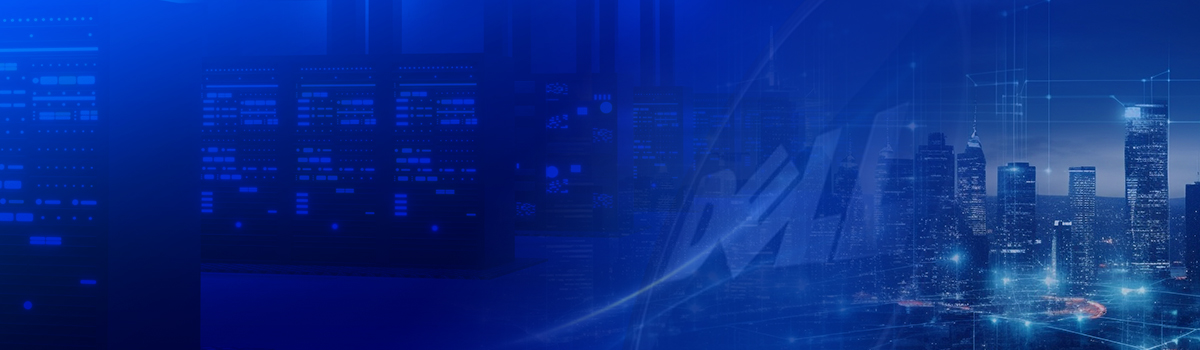 Dedicated Server